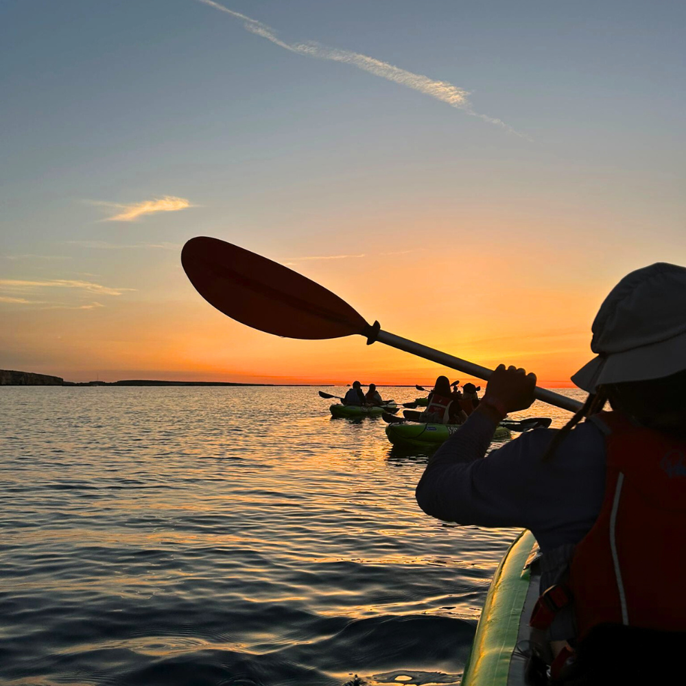 Man raising his paddle while slowly kayaking toward the sunrise on calm water.